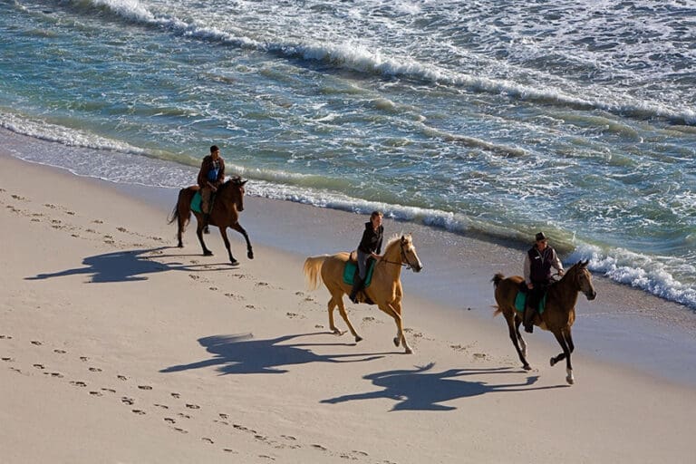 Web grootbos experience horse riding beach 14