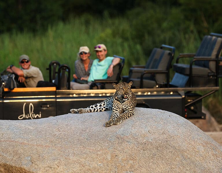 Dulini Game Drives