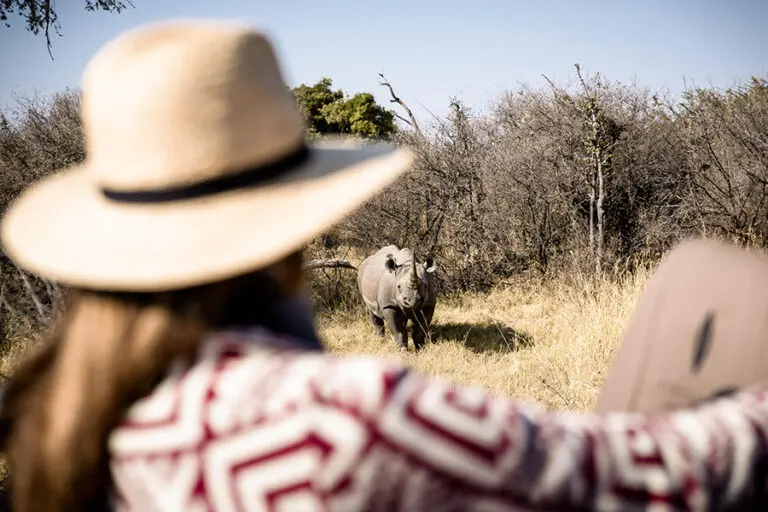 Sanctuary chief s camp rhino game drive