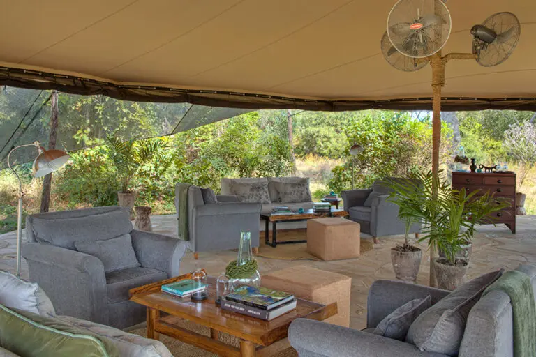 RohoyaSelous Interior Lounge