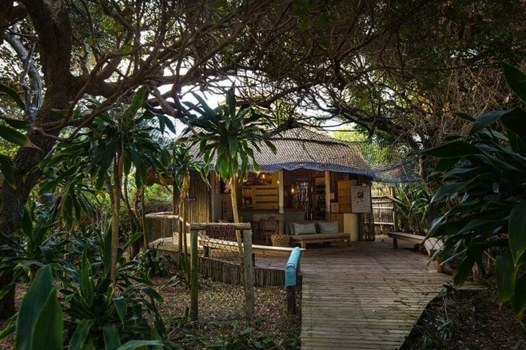 Thonga Beach Lodge Marine Centre