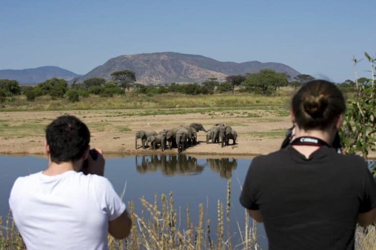 Kigelia Ruaha Walking safari 1