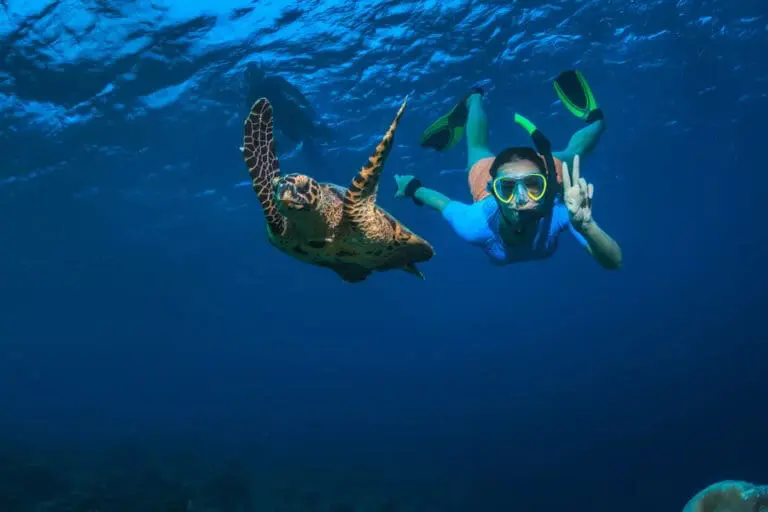Story seychelles 28