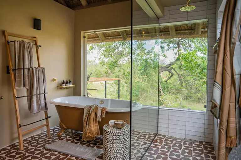 Thornybush Game Lodge Room 6