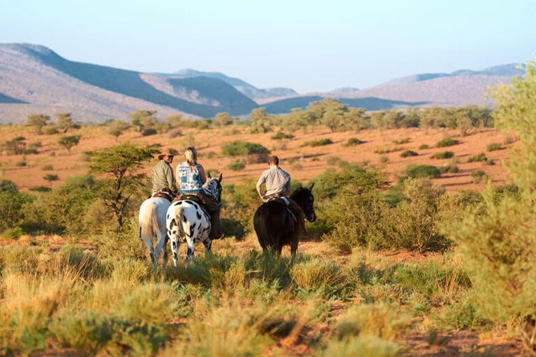 TSWALU The Motse Tswalu horse riding