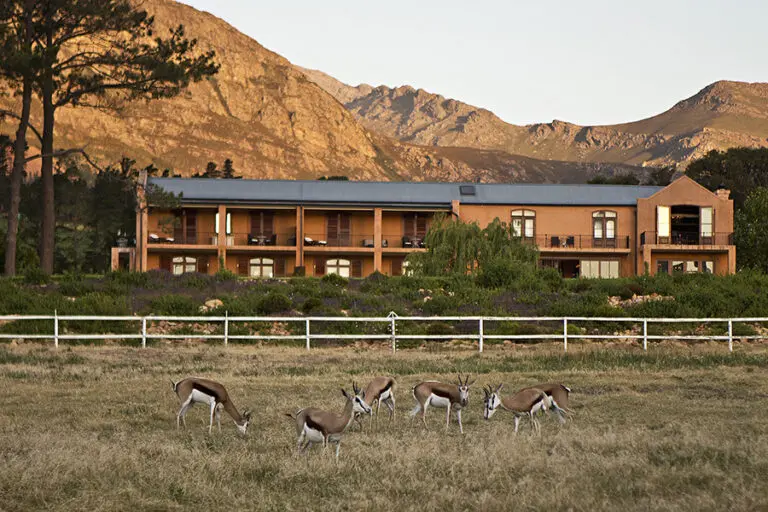 La Residence Photography Experiences Wildlife