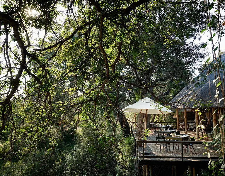 Malewane Lodge at Royal Malewane Thornybush Kruger Lodge Deck 4