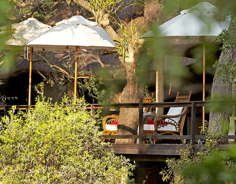 Malewane Lodge at Royal Malewane Thornybush Kruger Lodge Deck 5