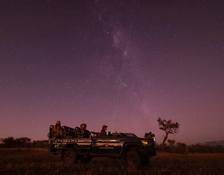 Malewane Lodge at Royal Malewane Thornybush Kruger Star Safari