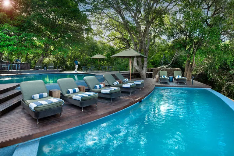 Phinda Forest Lodge rimflow swimming pool