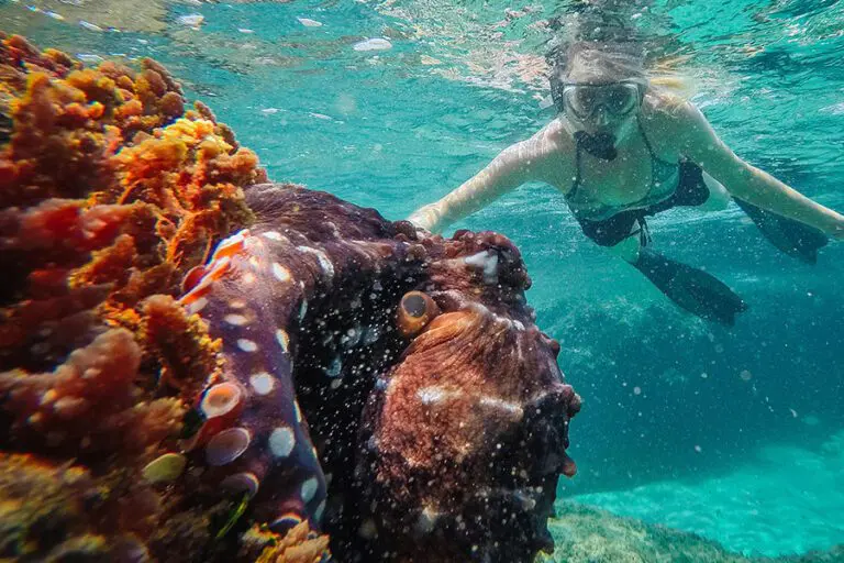 Thonga Beach Lodge Gallery Image