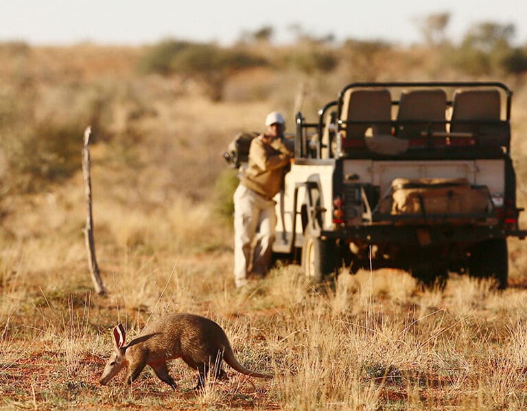 The Motse Tswalu Kalahari SA Wildlife