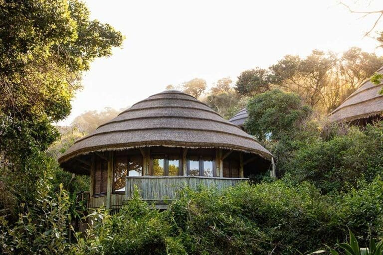 Thonga Beach Lodge Forest Room