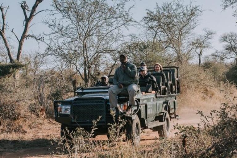 Guided Game Drive 3