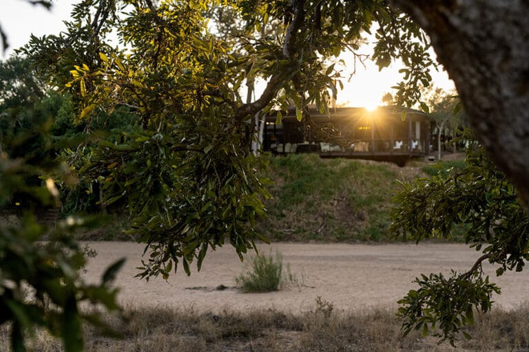 Tanda Tula Safari Camp Exterior Main Area Sunset