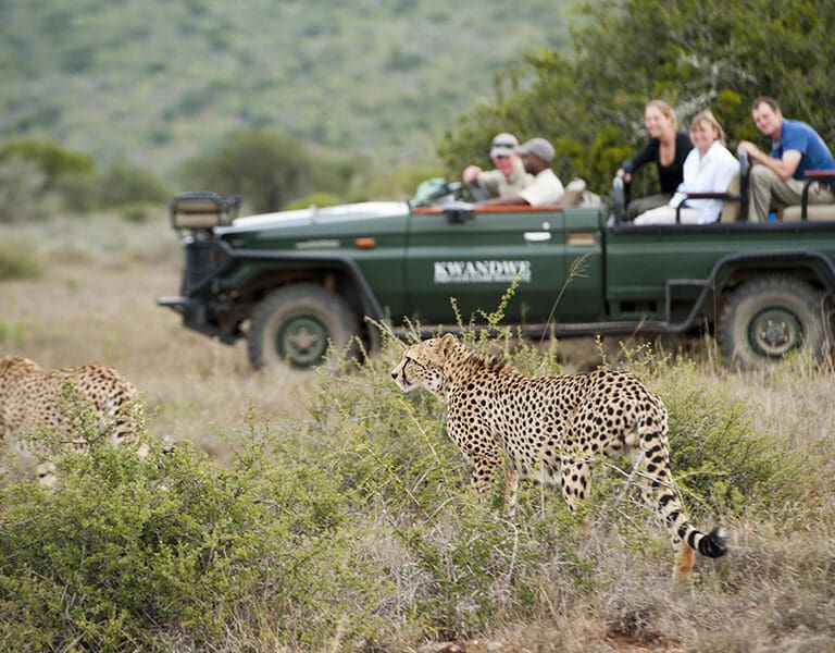 Great Fish River Lodge Kwandwe Private game reserve