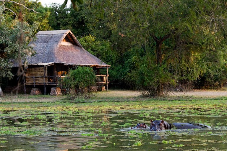 Mfuwe Lodge exterior 1