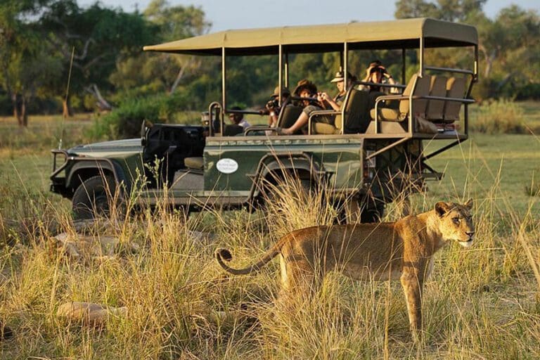 Chindeni Bushcamp gamedrive 1 1