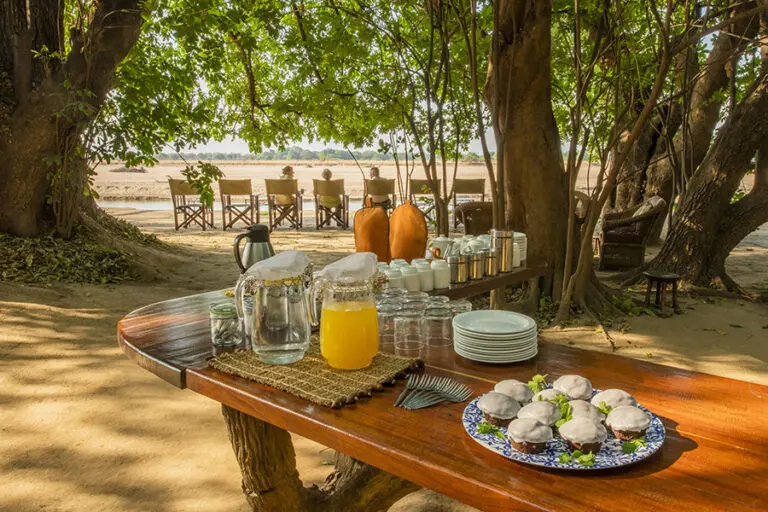 Tafika Camp Zambia South Luangwa high tea 2