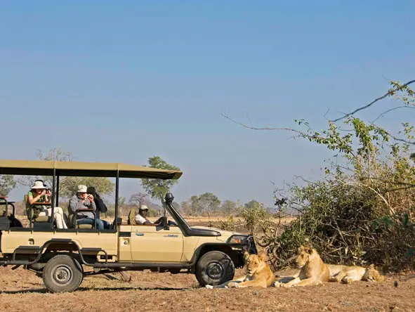 South Luagwa game drive
