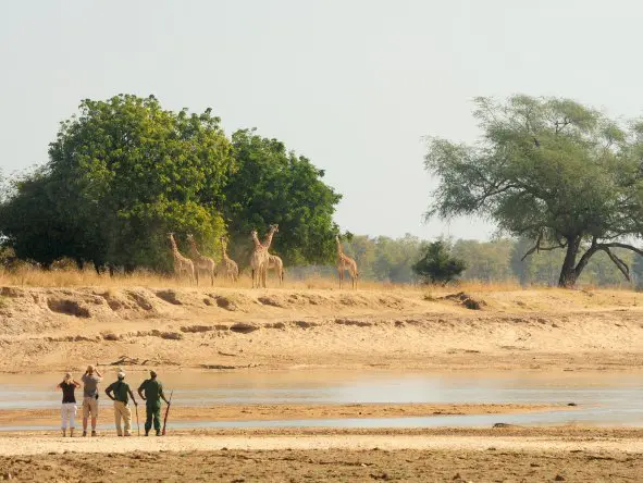 South Luangwa1