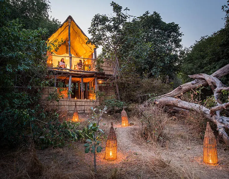 Chikoko Tree Camp