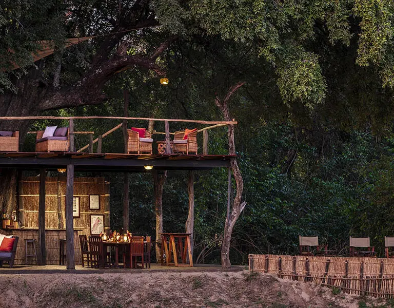 Chikoko Tree Camp 4