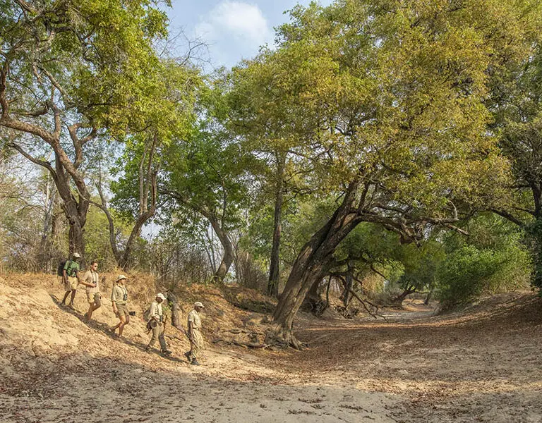 Chikoko walking trails