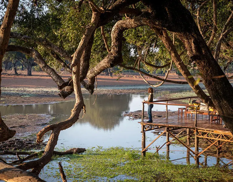 Big Lagoon Camp