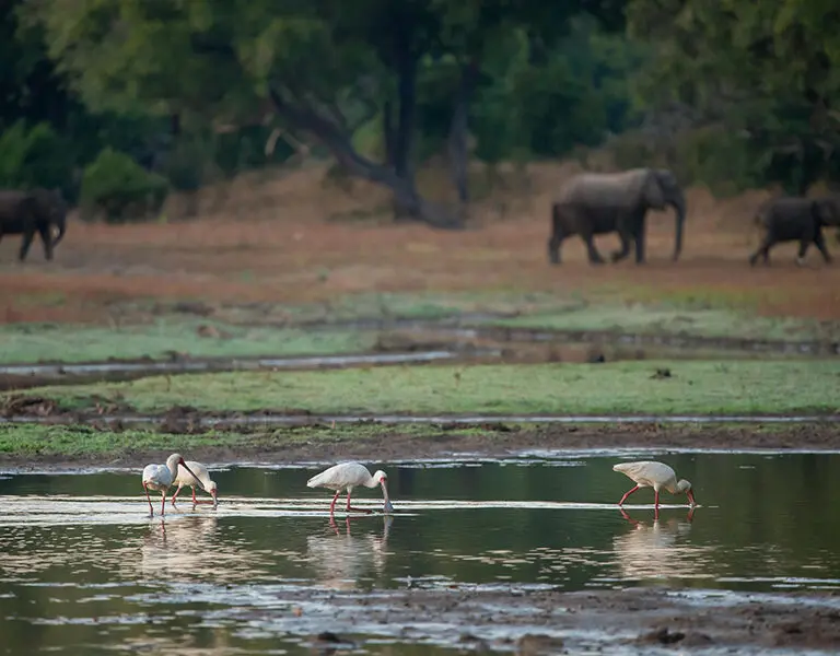 Big Lagoon Camp 8