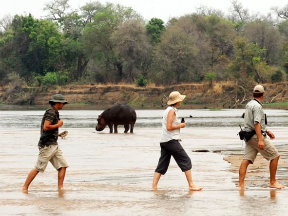 MwaleshiCampGuidedWalk