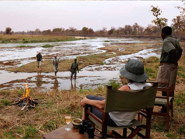 MwaleshiCampWalkingSafari