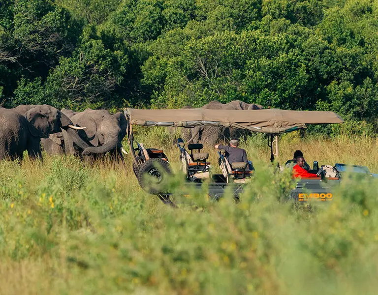 Emboo Camp Kenya Masai Mara Guests in an EV out on an Adventure