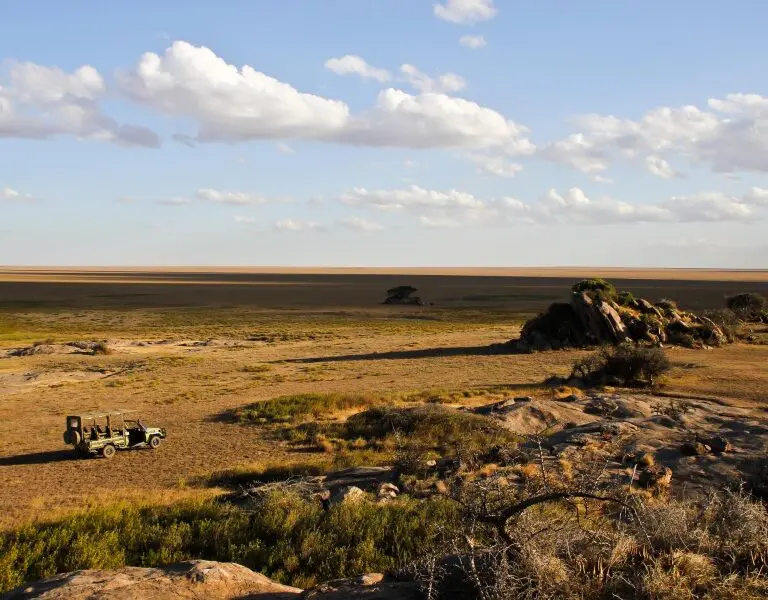 Asilia africa namiri retreats game drives
