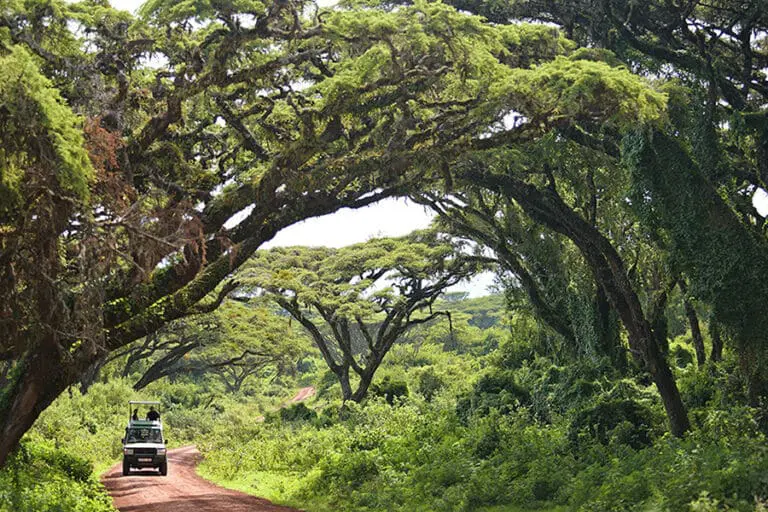 The Highlands Game drive