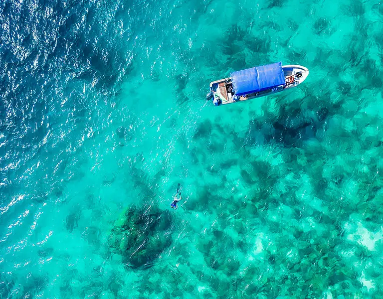 Snorkelling 1