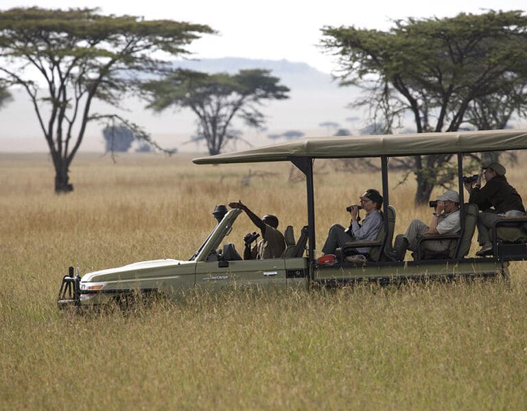 Dunia Camp game drive Serengeti safari 2