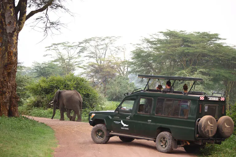 NgorongoroCraterLodge Activity GameDrive