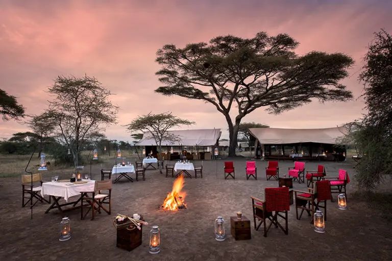 Around the fire andBeyond Serengeti Under Canvas