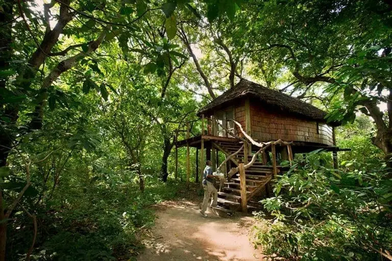Treehouse suite exterior andBeyond Lake Manyara Tree Lodge
