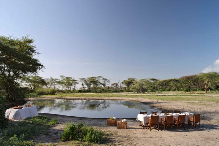 Lake Manyara Tree Lodge bush dining