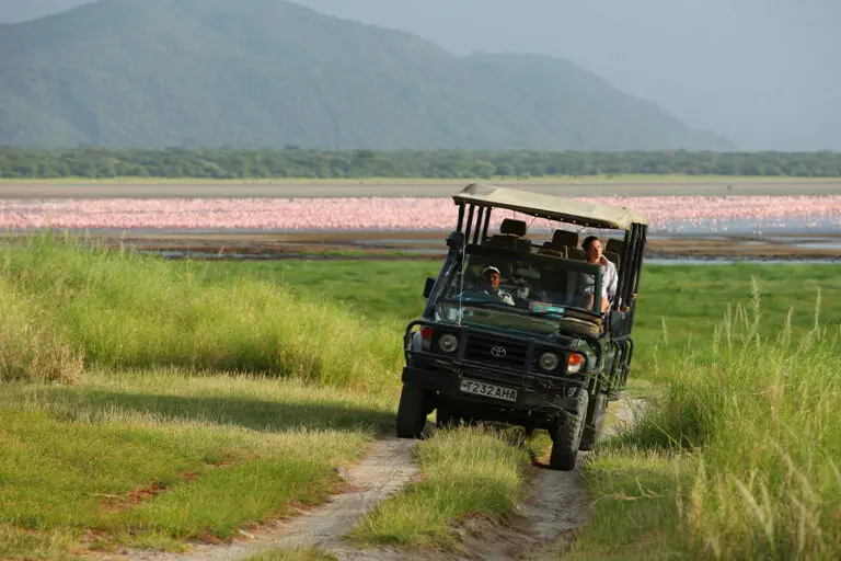 Lake Manyara Tree Lodge game drive