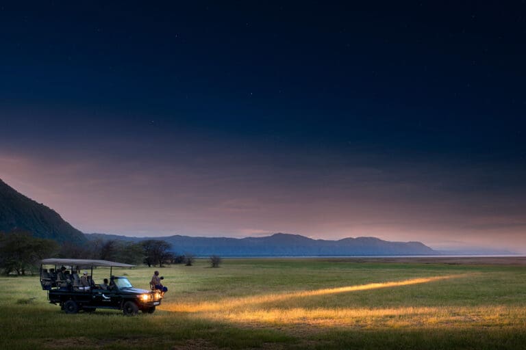 Lake Manyara Tree Lodge night game drive