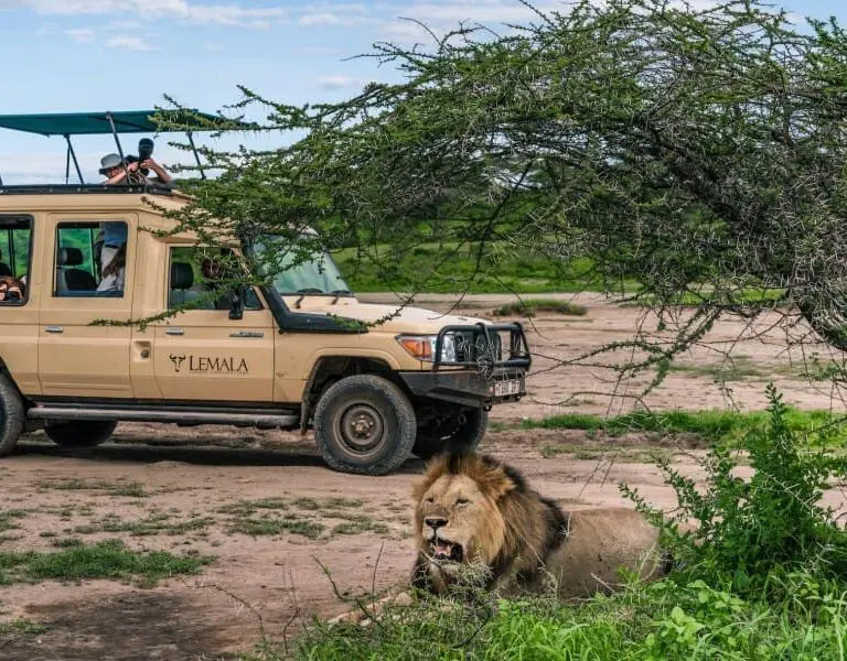Lemala osonjoi lodge game drives
