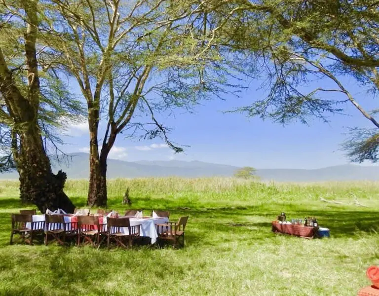 Lemala osonjoi lodge outdoor dining