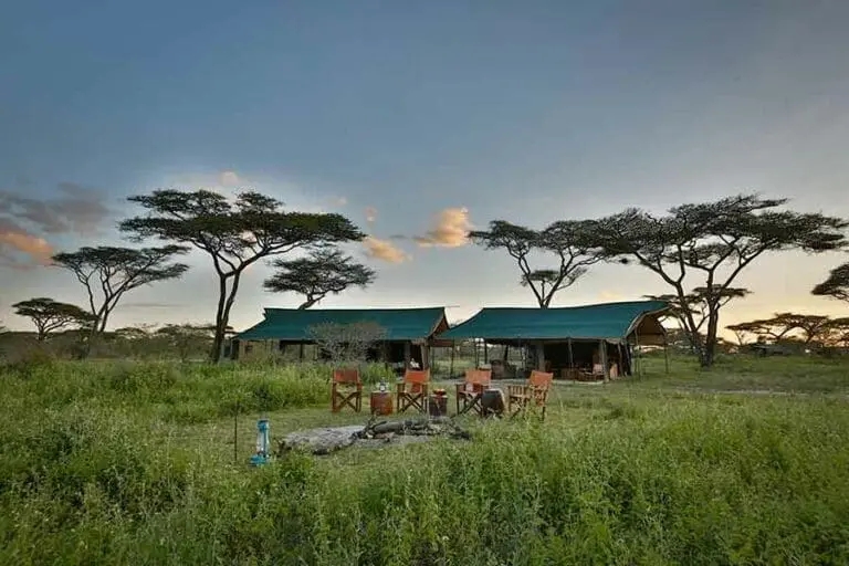 Nyikani Migration Camp Ndutu The Camp