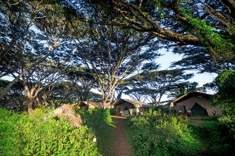 LemalaNgorongoro Entrance ArialView