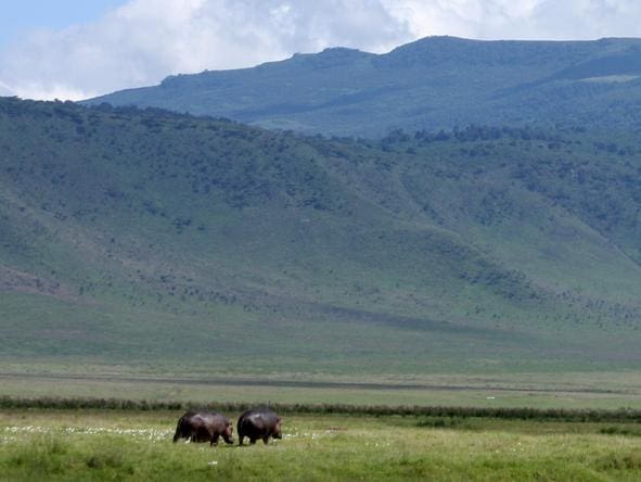 Day9 LEMALA NGORONGORO
