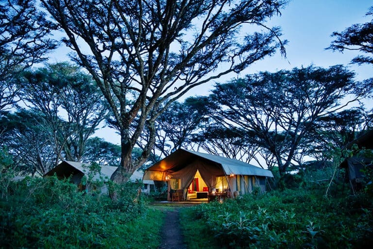 LemalaNgorongoro Exterior Evening