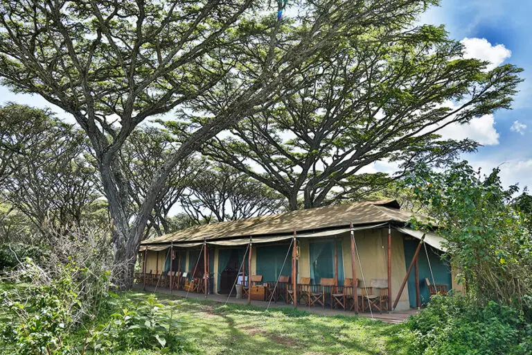 Lemala Ngorongoro 21
